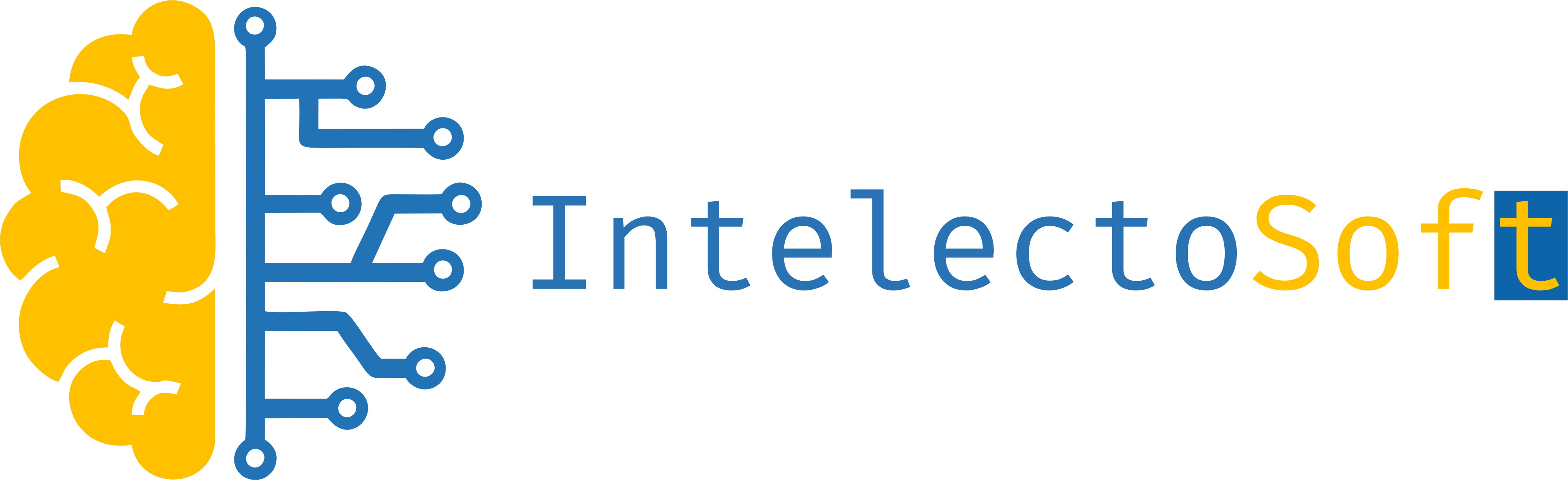 IntelectoSoft